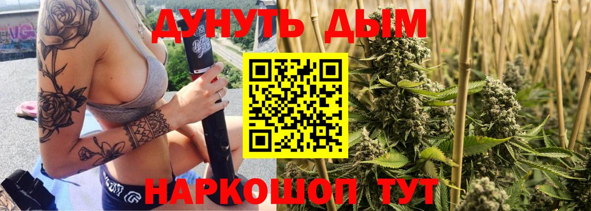 Канабис ГИДРОПОН Курчатов